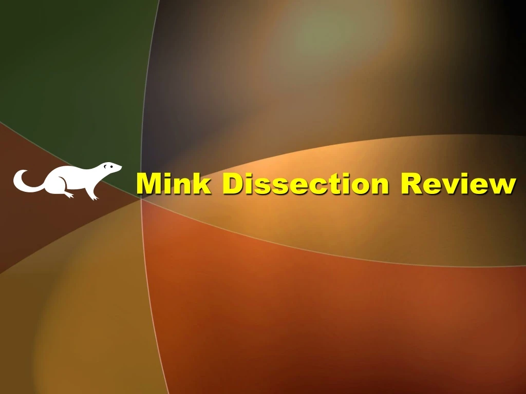 mink dissection review