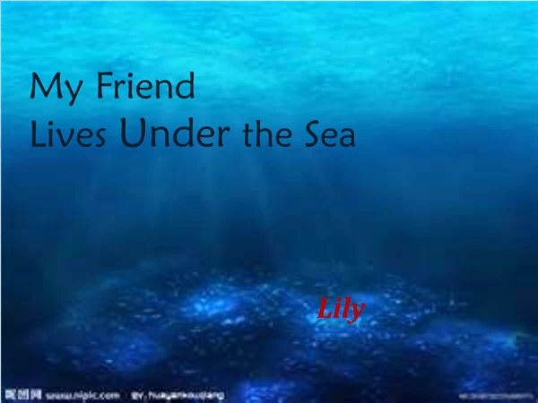 My Friend  Lives  Under  the Sea