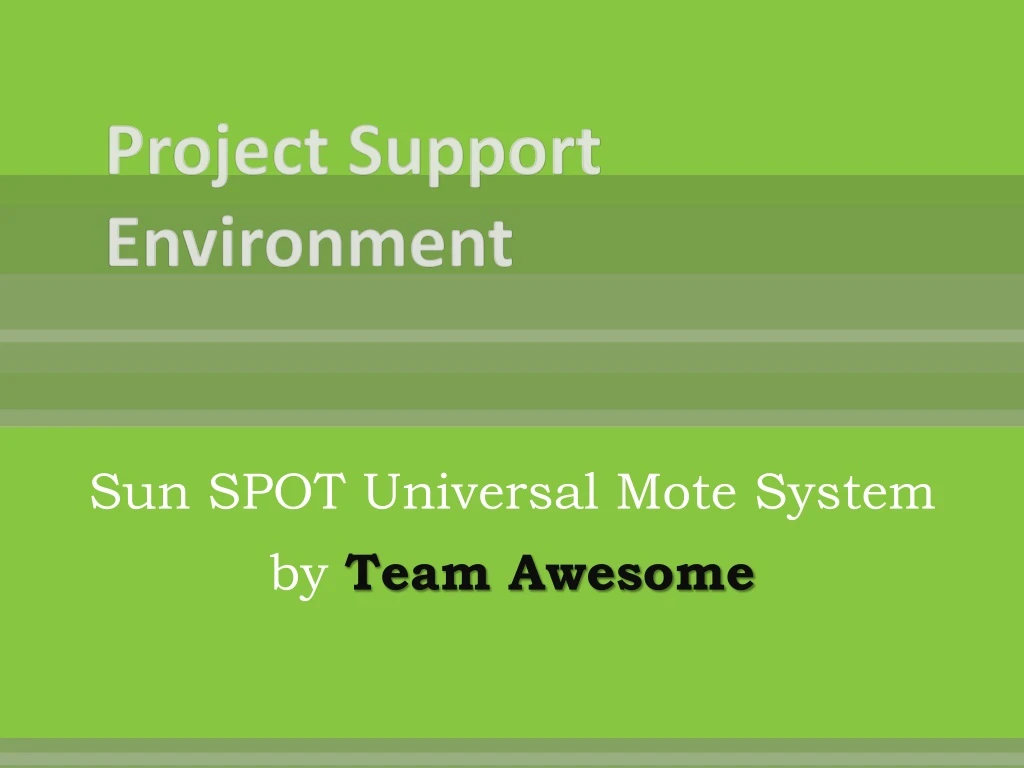 project support environment