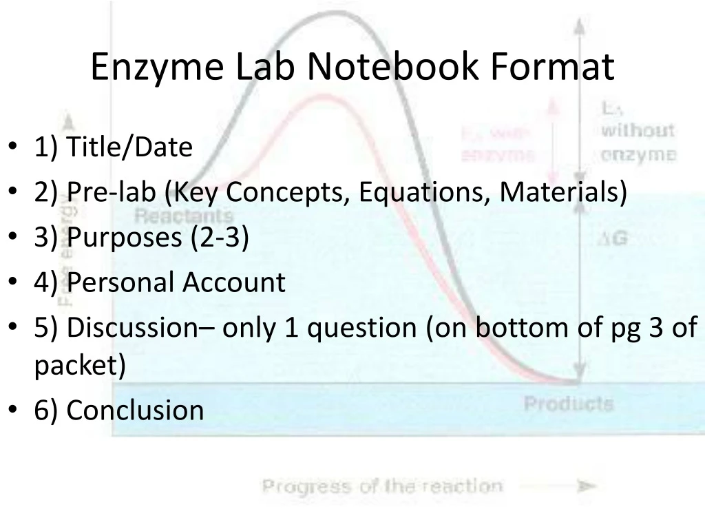 enzyme lab notebook format