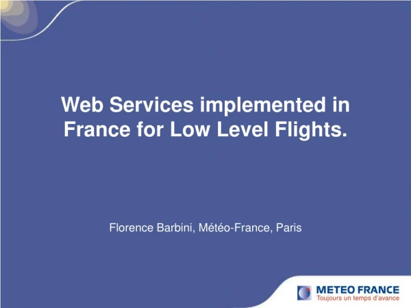 Web Services implemented in France for Low Level Flights.