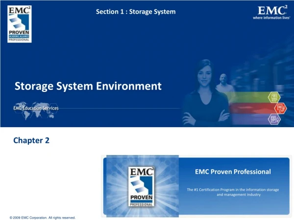 Storage System Environment