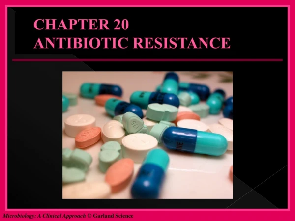 CHAPTER 20 ANTIBIOTIC RESISTANCE