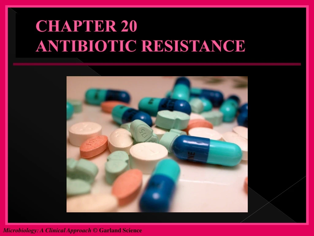 chapter 20 antibiotic resistance