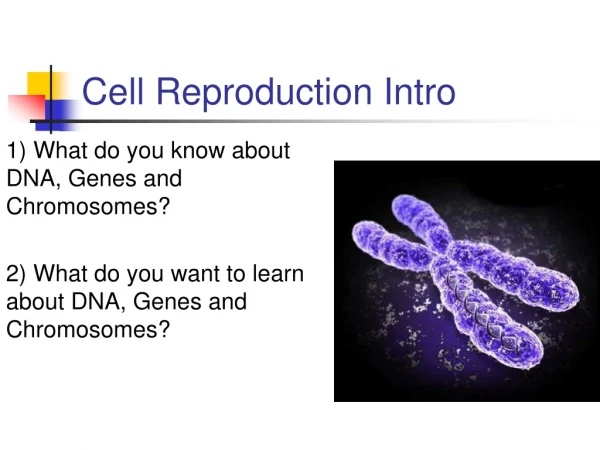 Cell Reproduction Intro