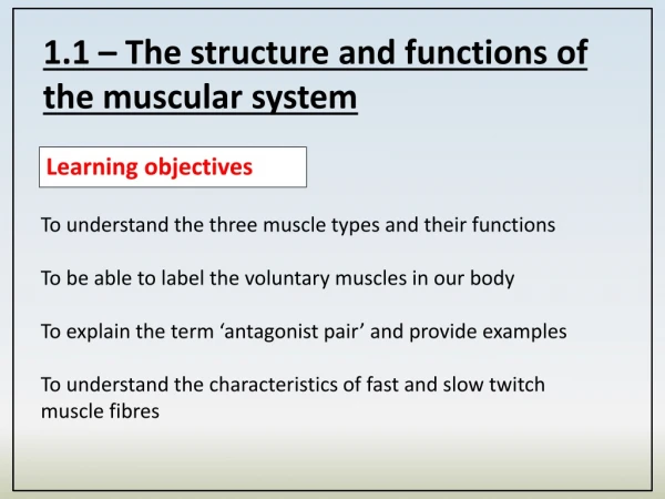 1.1 – The structure and functions of the muscular system