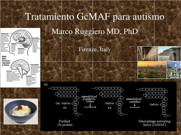 Tratamiento  GcMAF  para autismo Marco Ruggiero MD, PhD Firenze, Italy
