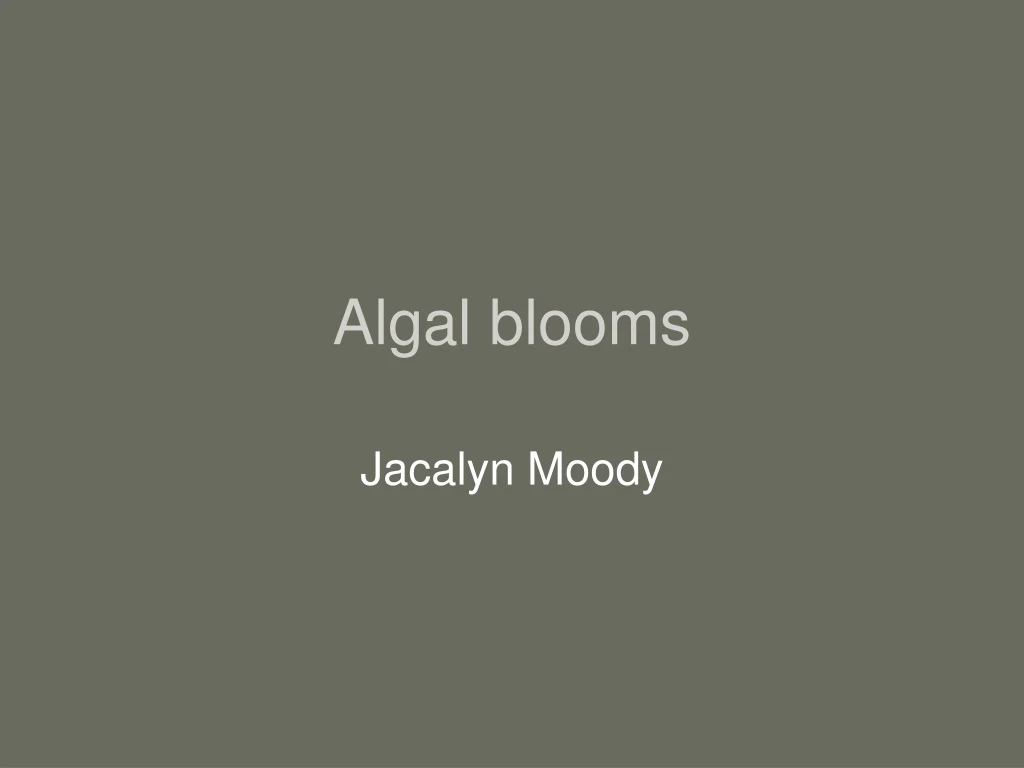 algal blooms