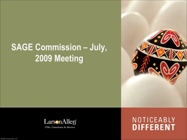 SAGE Commission – July, 2009 Meeting