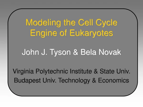 Modeling the Cell Cycle Engine of Eukaryotes