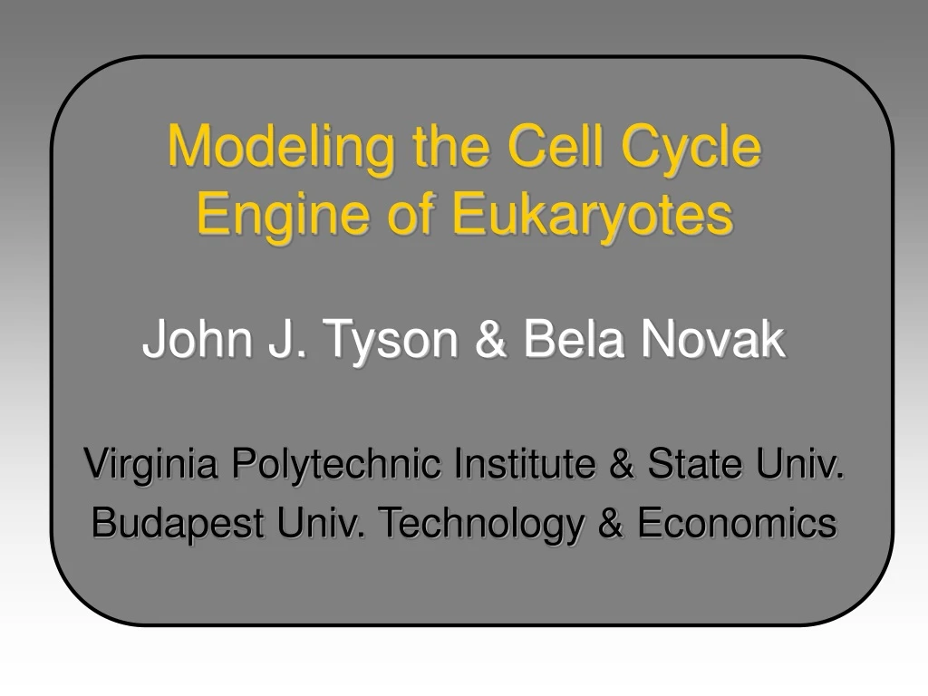 modeling the cell cycle engine of eukaryotes