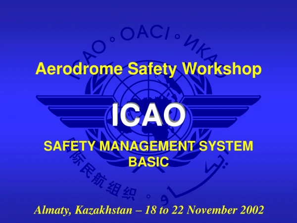 SAFETY MANAGEMENT SYSTEM BASIC