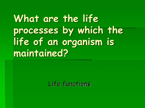 What are the life processes by which the life of an organism is maintained?