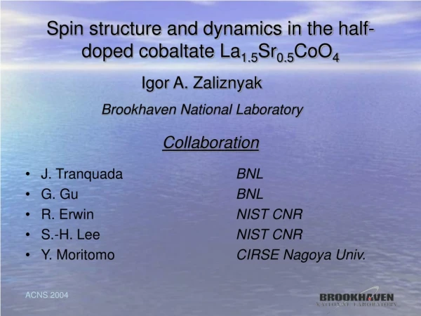 Spin structure and dynamics in the half-doped cobaltate La 1.5 Sr 0.5 CoO 4