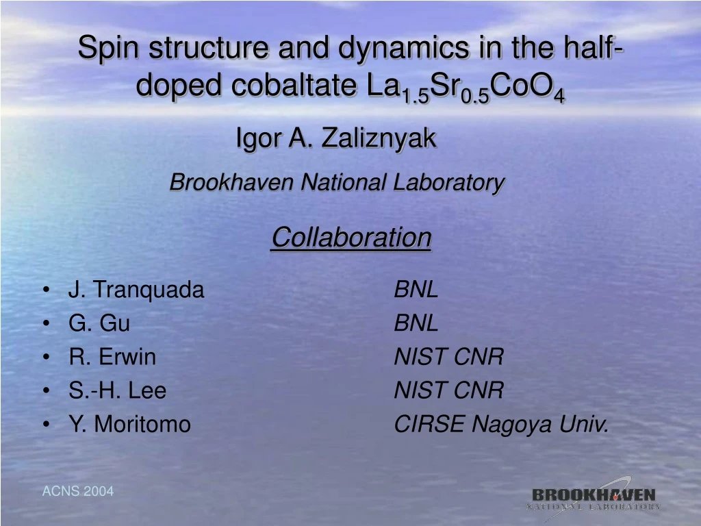 spin structure and dynamics in the half doped cobaltate la 1 5 sr 0 5 coo 4