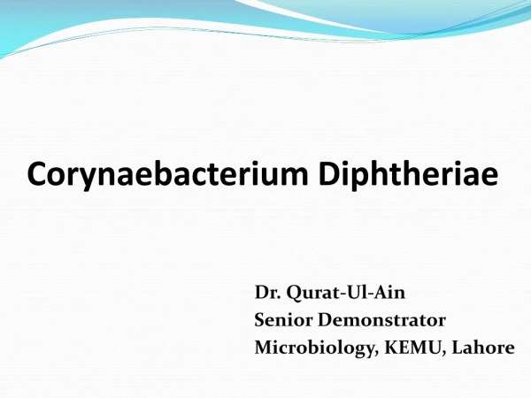 Corynaebacterium Diphtheriae