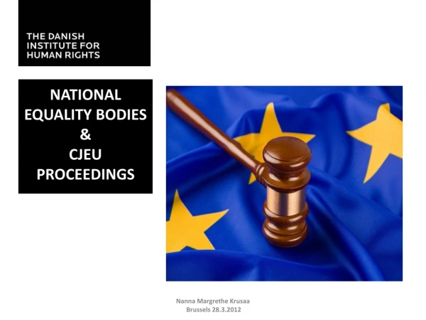 National Equality Bodies  &amp; CJEU Proceedings