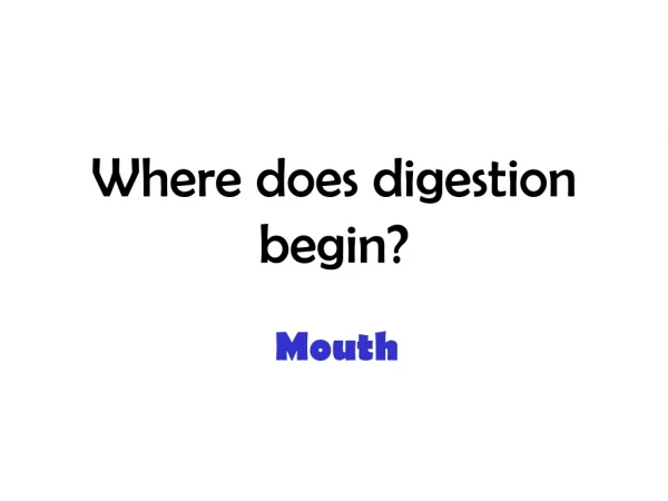 Where does digestion begin?