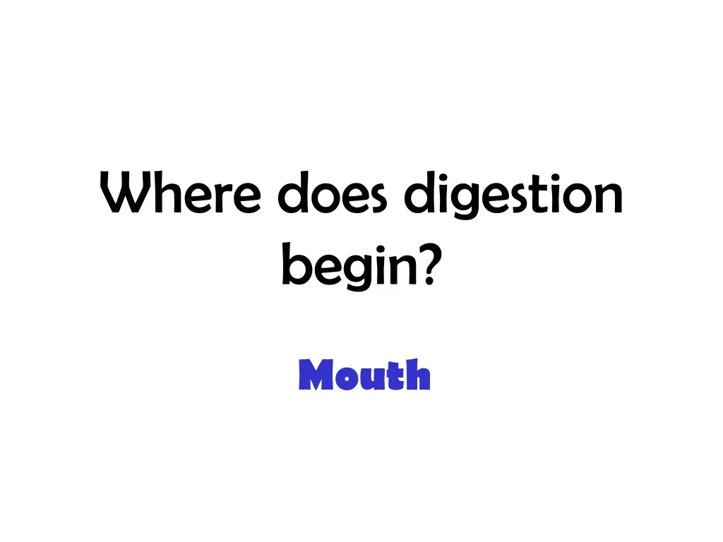 where does digestion begin