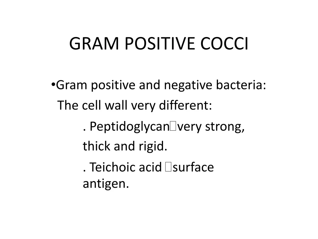 gram positive cocci