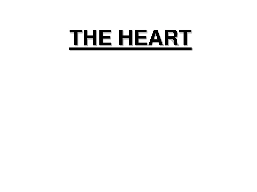 the heart