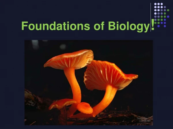 Foundations of Biology !