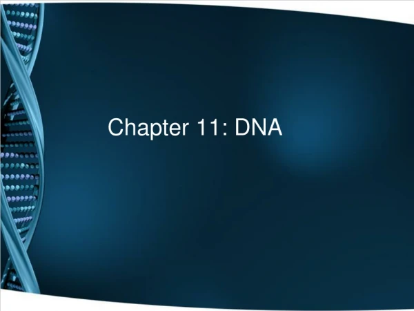 Chapter 11: DNA