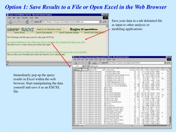 Option 1: Save Results to a File or Open Excel in the Web Browser