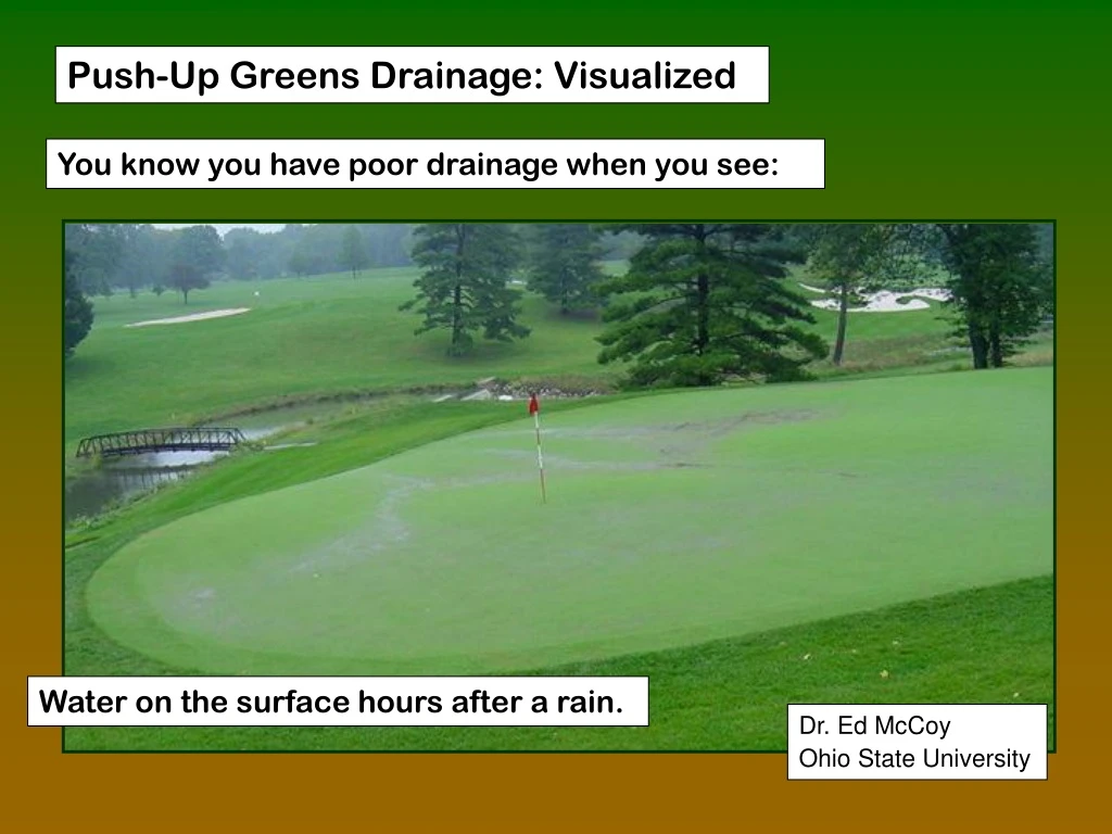 push up greens drainage visualized