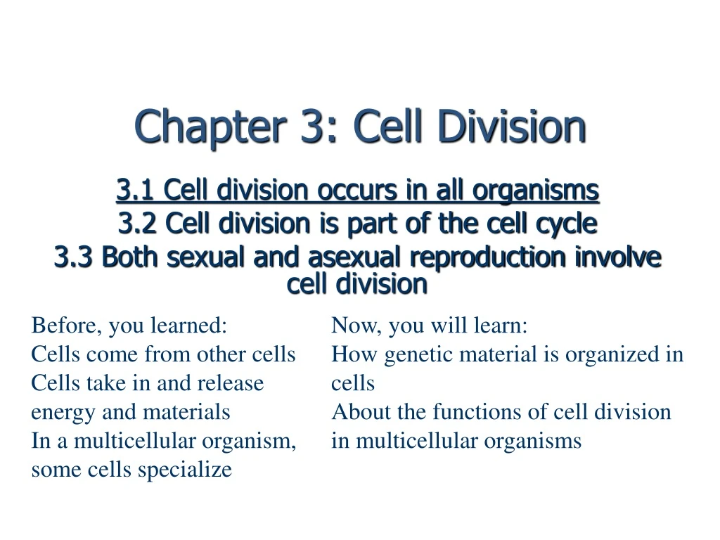 chapter 3 cell division