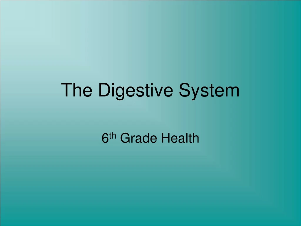 the digestive system