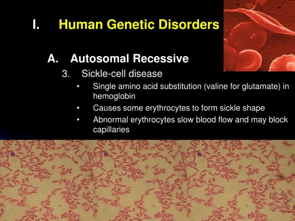 Human Genetic Disorders Autosomal Recessive Sickle-cell disease