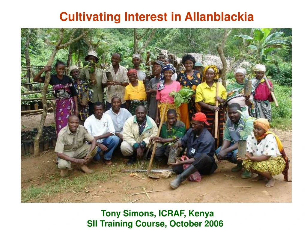 cultivating interest in allanblackia