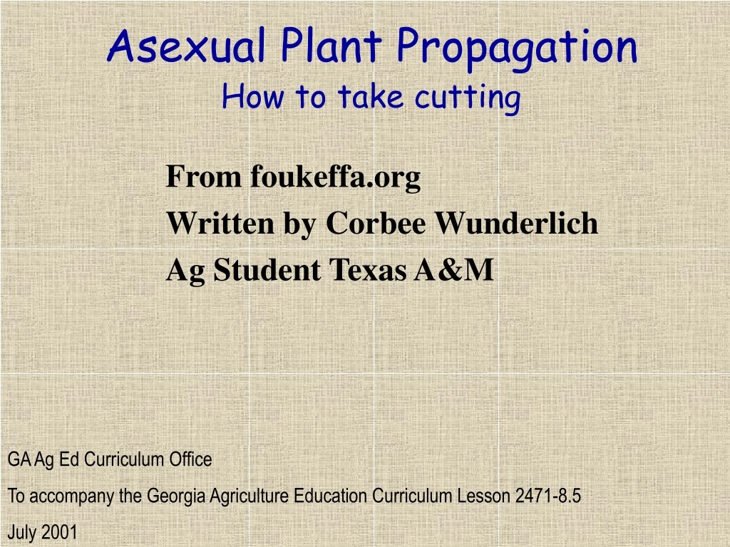 asexual plant propagation