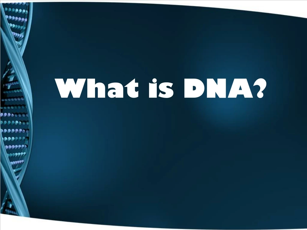 what is dna