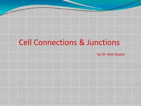 Cell Connections &amp; Junctions  by Dr. Vani Gupta