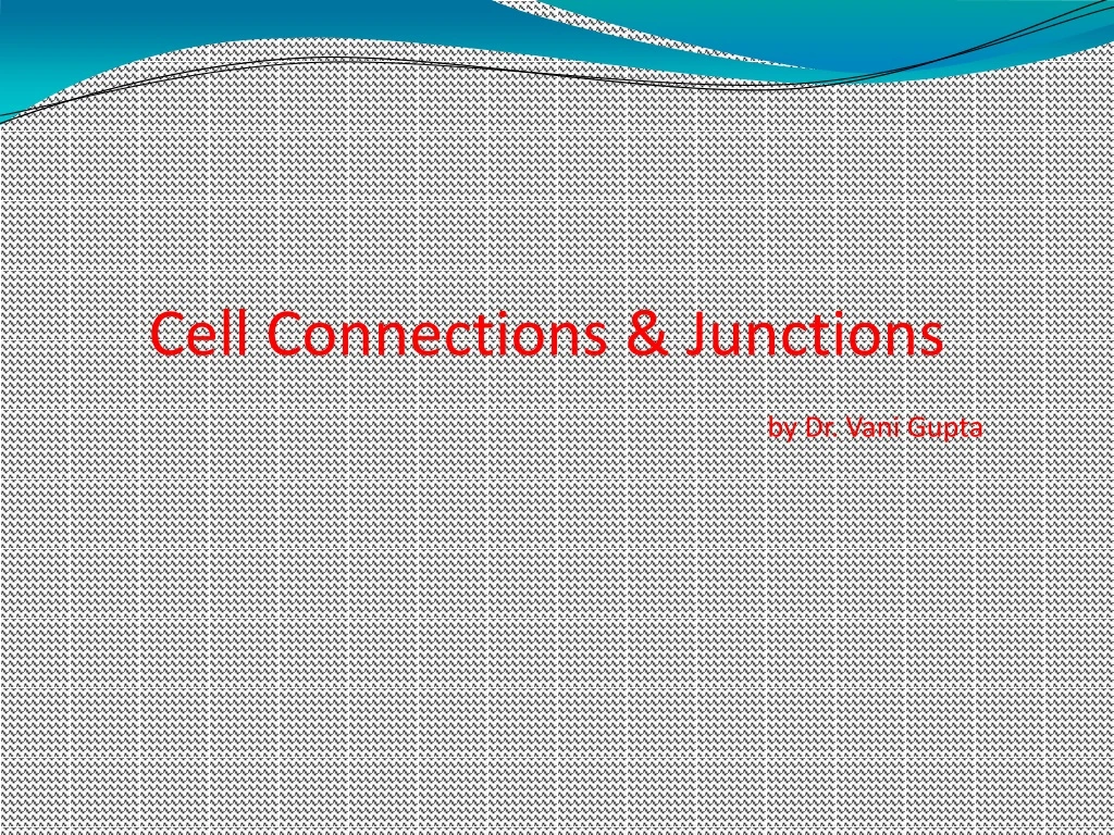cell connections junctions by dr vani gupta