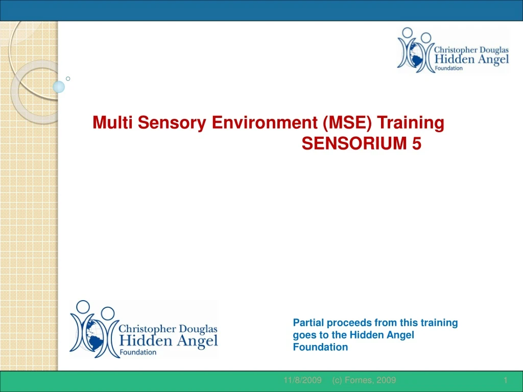 multi sensory environment mse training sensorium 5