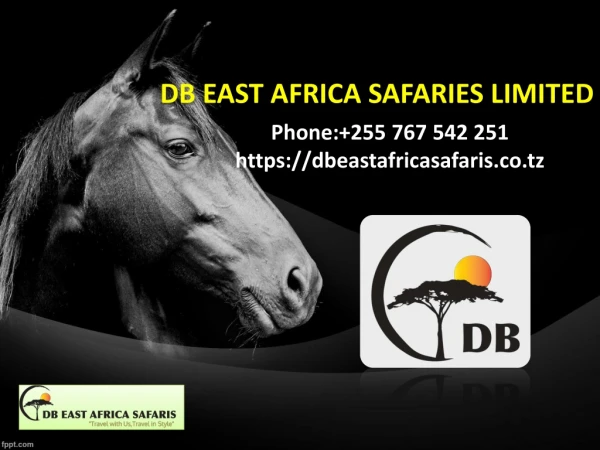 DB EAST AFRICA SAFARIES LIMITED