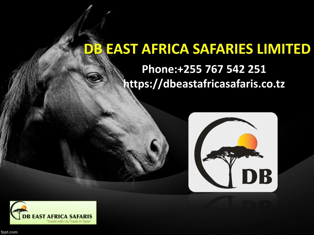 db east africa safaries limited phone
