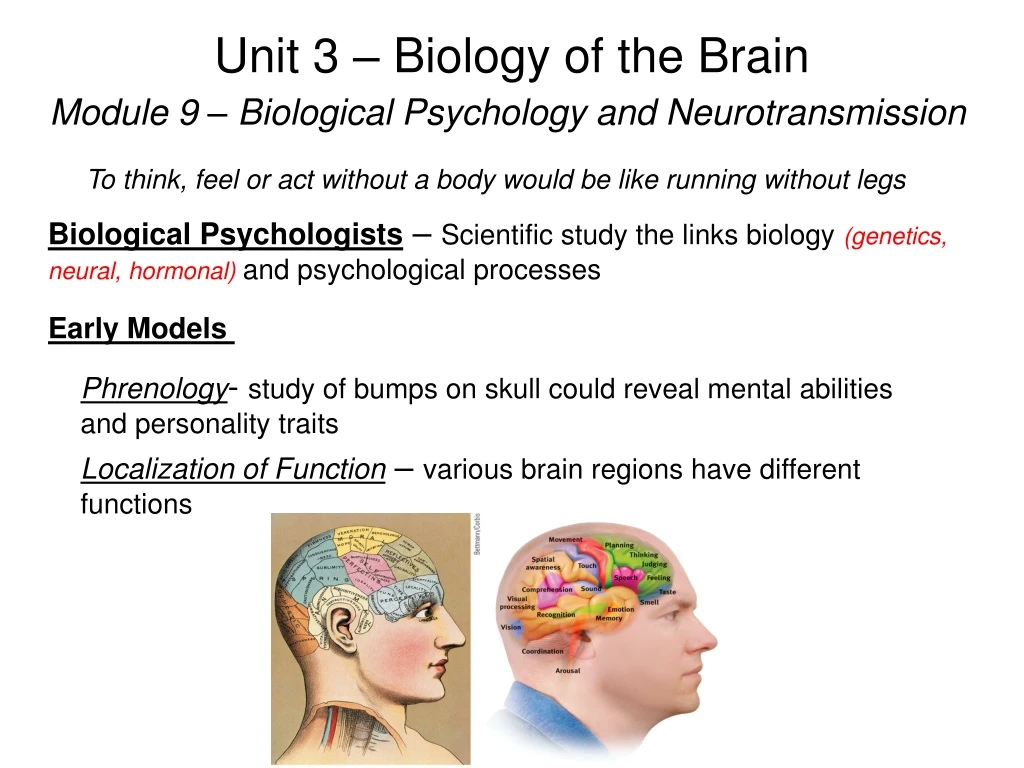 unit 3 biology of the brain