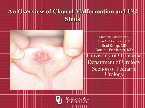 An Overview of Cloacal Malformation and UG Sinus