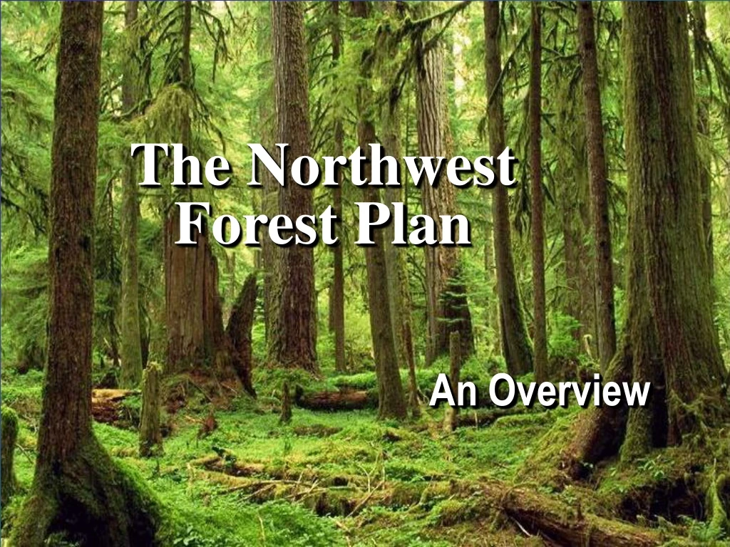 the northwest forest plan