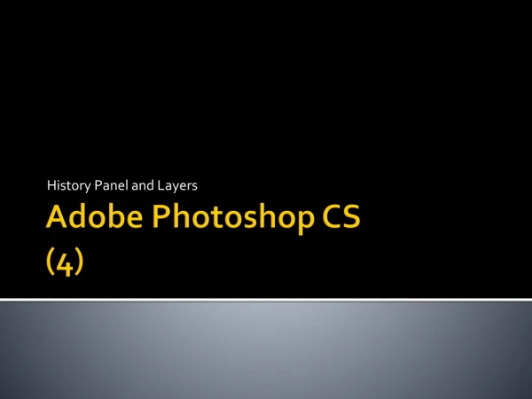 Adobe Photoshop CS (4)