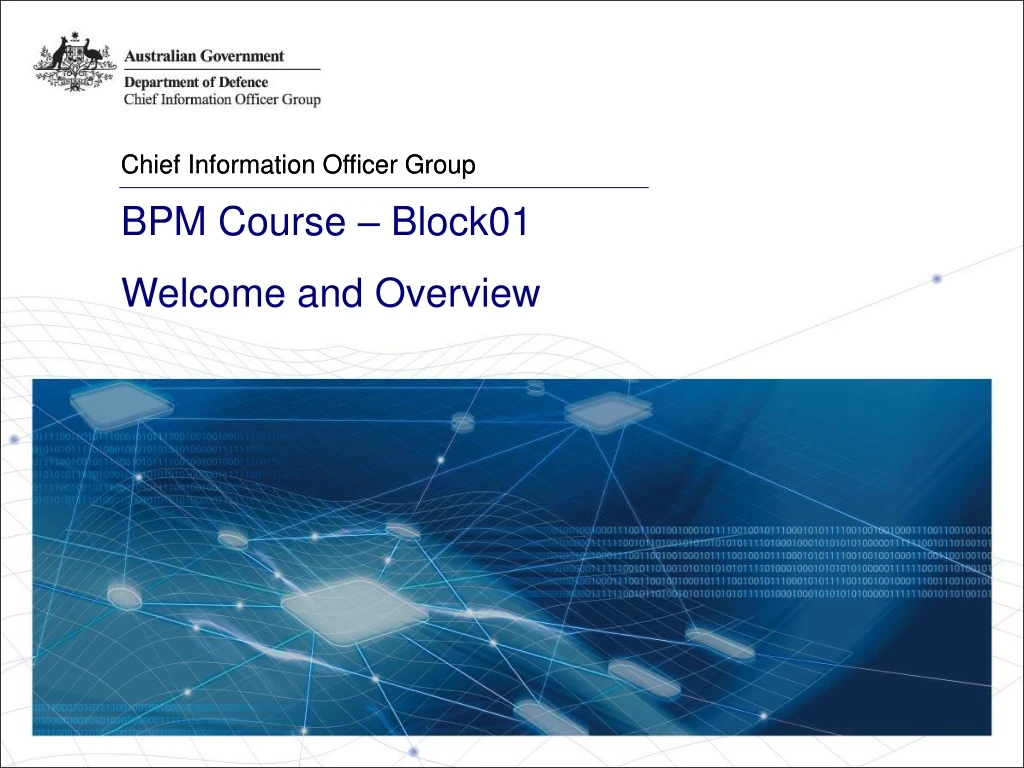 chief information officer group