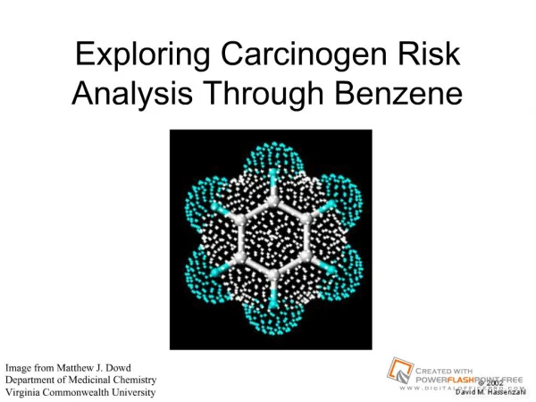 Exploring Carcinogen Risk Analysis Through Benzene