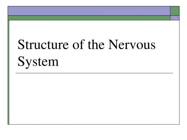 Structure of the Nervous System