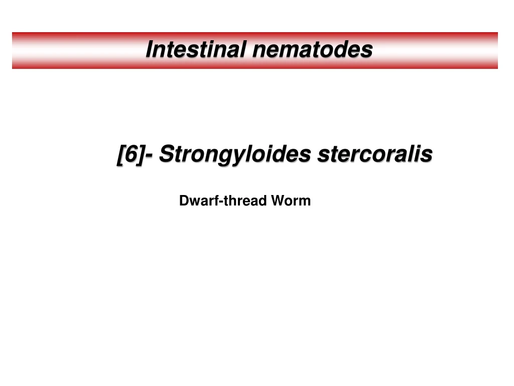 intestinal nematodes