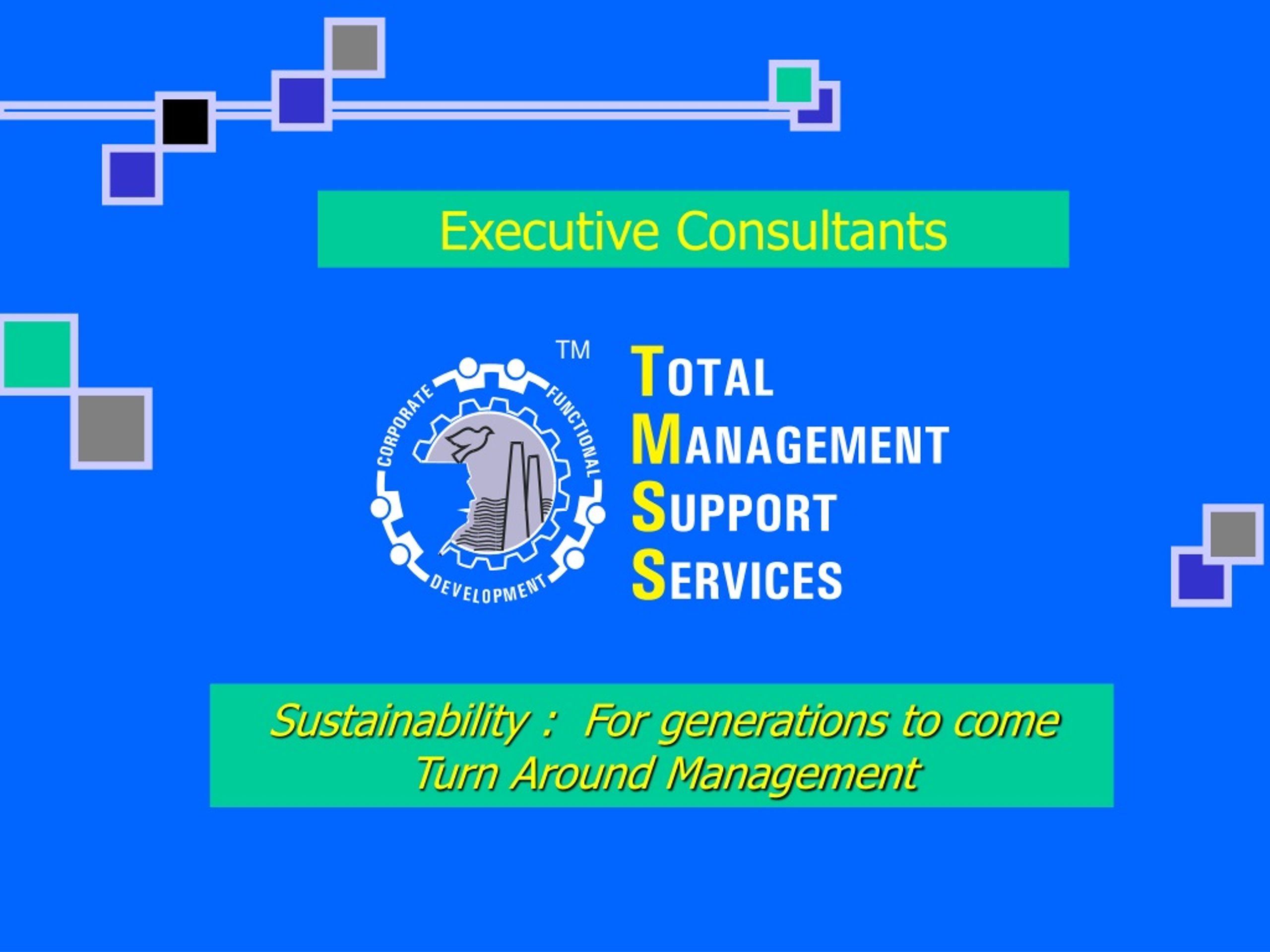 Sustainable Turnaround Management Consultants - Empowering Future Generations - slide 1