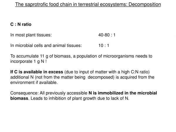 The saprotrofic food chain in terrestrial ecosystems: Decomposition
